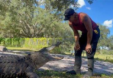 VIDEO: Pescador de Calama é Atacado por Jacaré e Enfrenta Luta pela Sobrevivência 