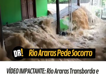 VÍDEO IMPACTANTE: Rio Araras Transborda e Deixa Famílias Desabrigadas em Cerejeiras