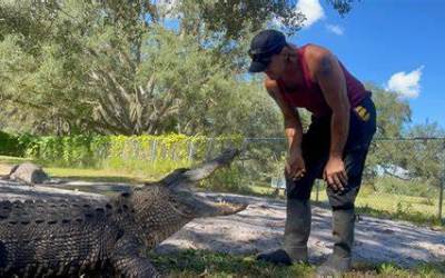 VIDEO: Pescador de Calama é Atacado por Jacaré e Enfrenta Luta pela Sobrevivência 