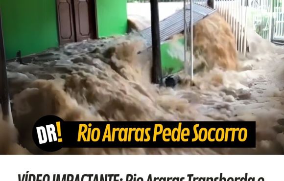 VÍDEO IMPACTANTE: Rio Araras Transborda e Deixa Famílias Desabrigadas em Cerejeiras